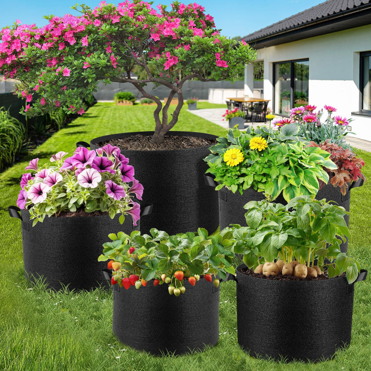 Jorvila suitable for a variety of vegetables such as potatoes and tomatoes.