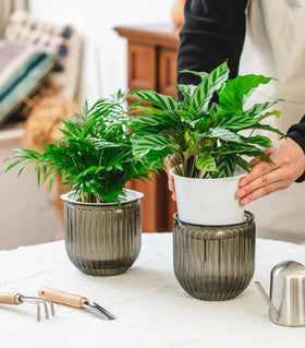 Josteve hanging planter with a 16.5-inch chain and cotton wick for steady moisture.