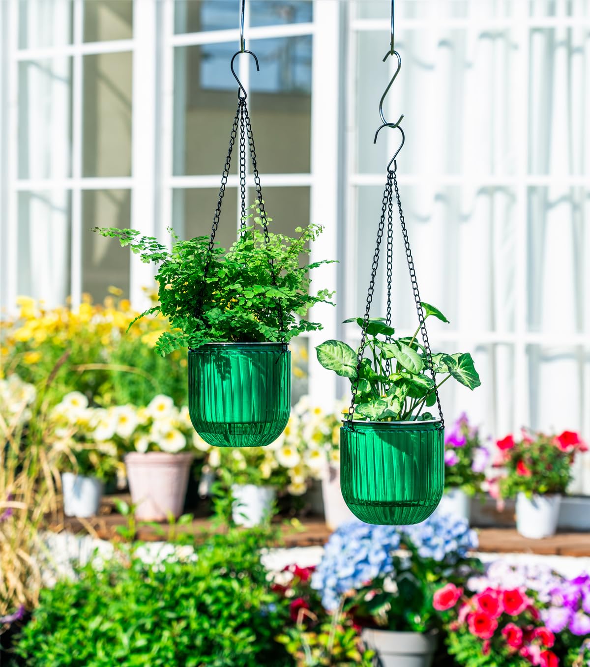 Josteve cotton-wick rope system transfers water to plants for steady moisture