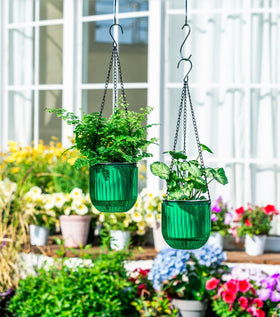 Josteve cotton-wick rope system transfers water to plants for steady moisture