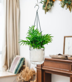 Josteve indoor/outdoor planter suitable for tables or walls