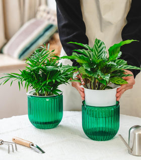 Josteve inner-outer pot dual design provides controlled watering for vibrant plants