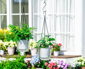 Josteve self-watering planter showing inner and outer pots for moisture control