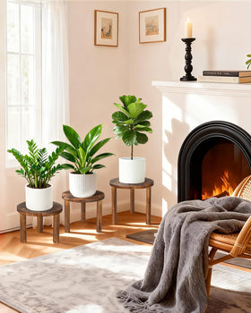 Jotboom decorative spiral carved stand adds artisanal charm