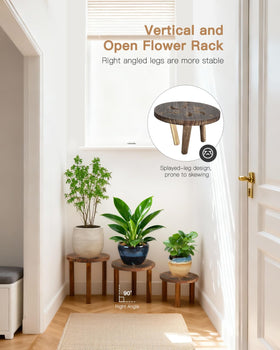 Jotboom easy setup plant stand ready in a minute