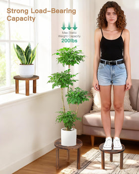 Jotboom heavy-duty pine plant stand with sturdy legs for larger pots