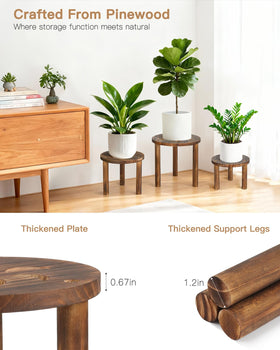 Jotboom mid-century inspired wood stand complements modern decor