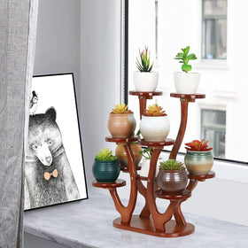 Jotboom multi-use plant display shelf suitable for spices or decor