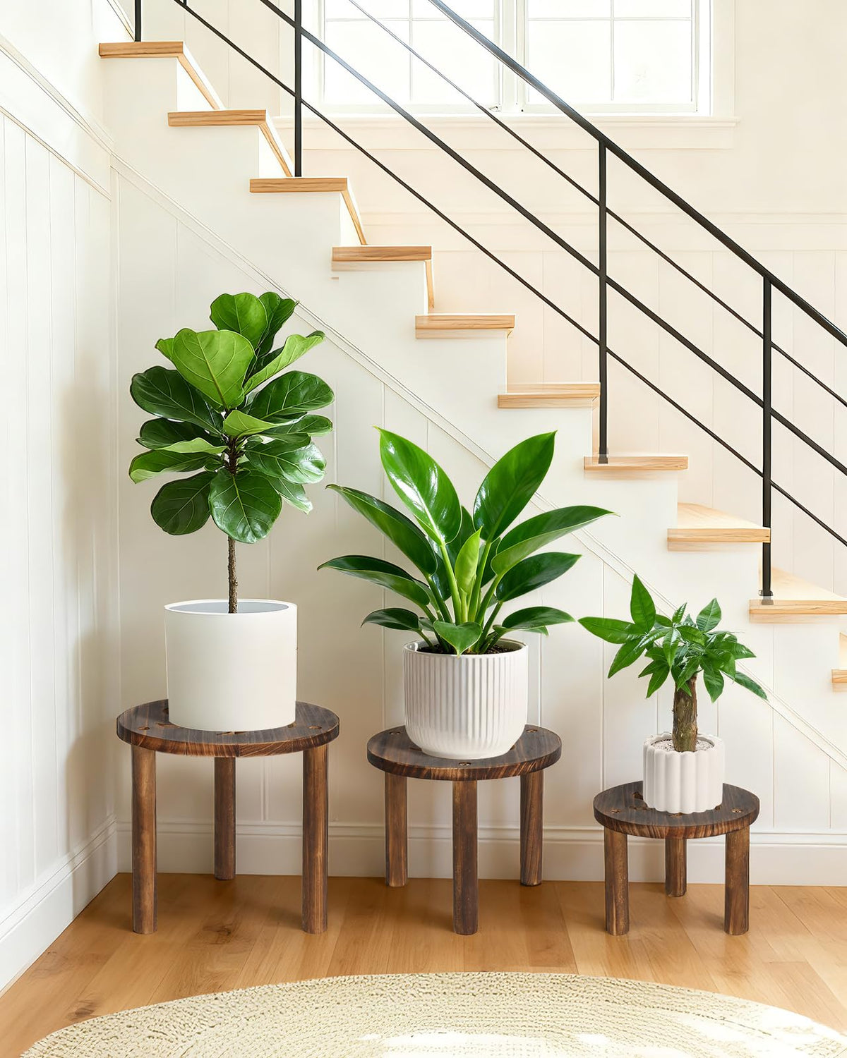 Jotboom space-saving corner plant stand fits narrow niches