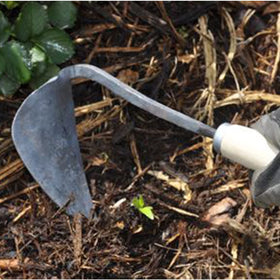 JOVELY Ergonomic wooden handle reduces fatigue during long weeding sessions.