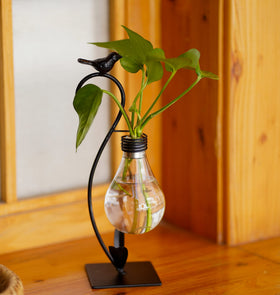 Joyathome Anti-Rust Iron Frame provides sturdy, durable display.