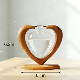 Joyathome clear glass vase reveals plant root development for hydroponics