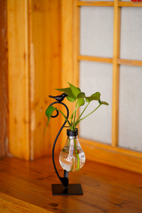 Joyathome Elegant Vase Holder makes plant arrangement quick and chic.