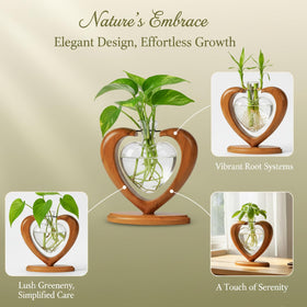 Joyathome tabletop propagation station fits home and office décor