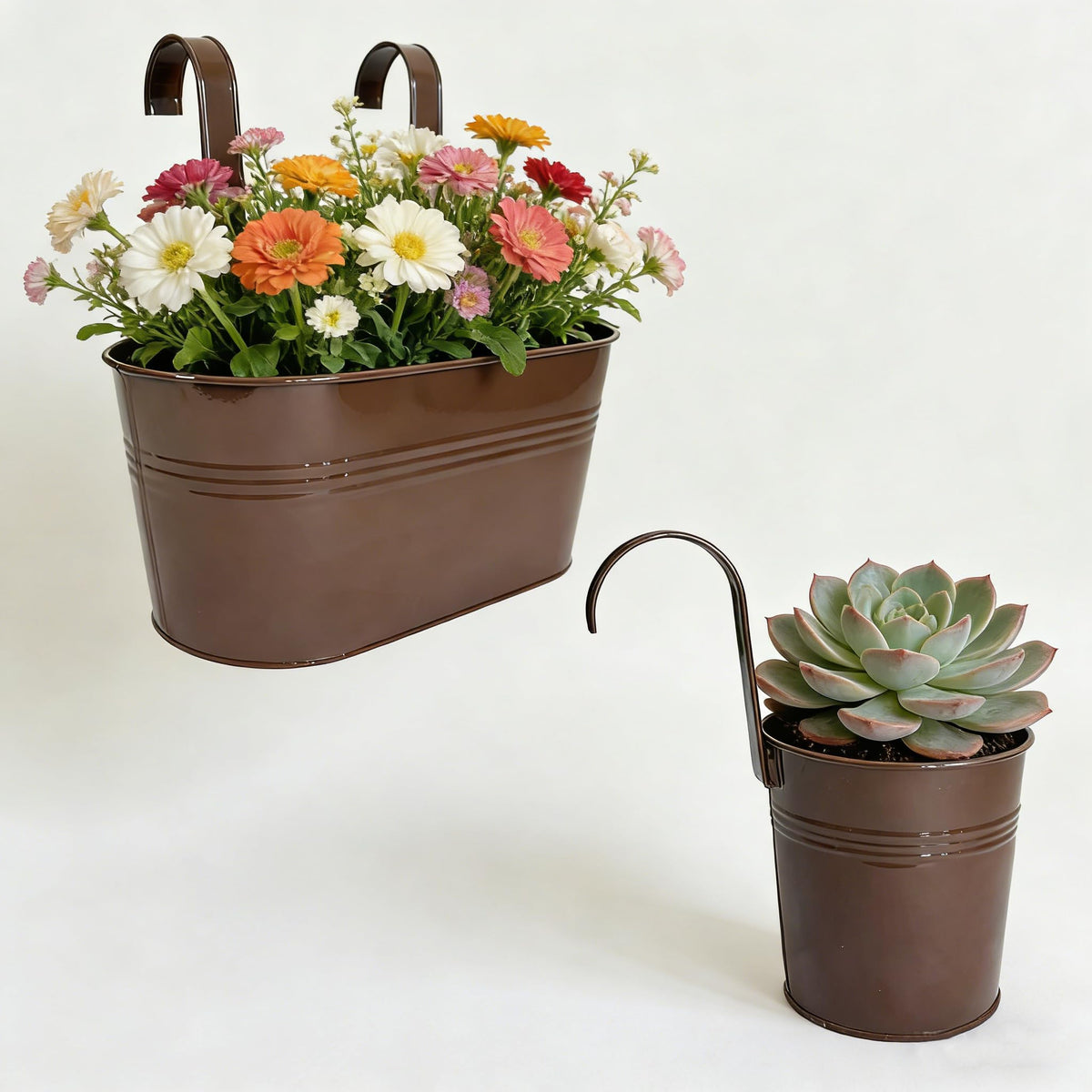Joyfernal four-pack for versatile balcony garden arrangements