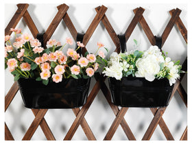 Joyfernal herb and succulent planter pack for small urban spaces.