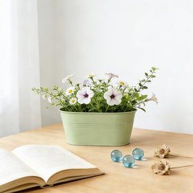 Joyfernal multi-pack set enhances balcony decor with cohesive color.
