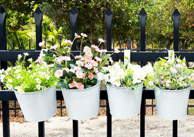 Joyfernal versatile pack ideal for herbs, succulents, and flowers.
