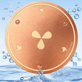 Joyfulmap copper bird bath disk purifies water in a bowl.