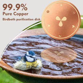 Joyfulmap pure copper discs help keep birdbath water clearer.