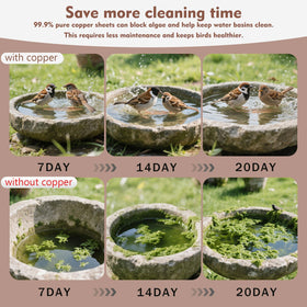 Joyfulmap disk rests in the basin; stones maximize water contact.