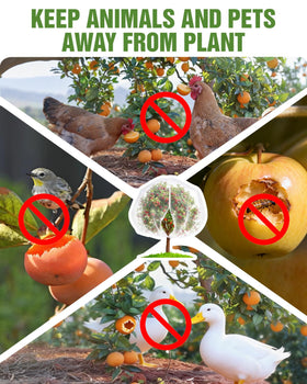JoyHalo 10x10 ft fruit tree cover fits trees and shields fruit.