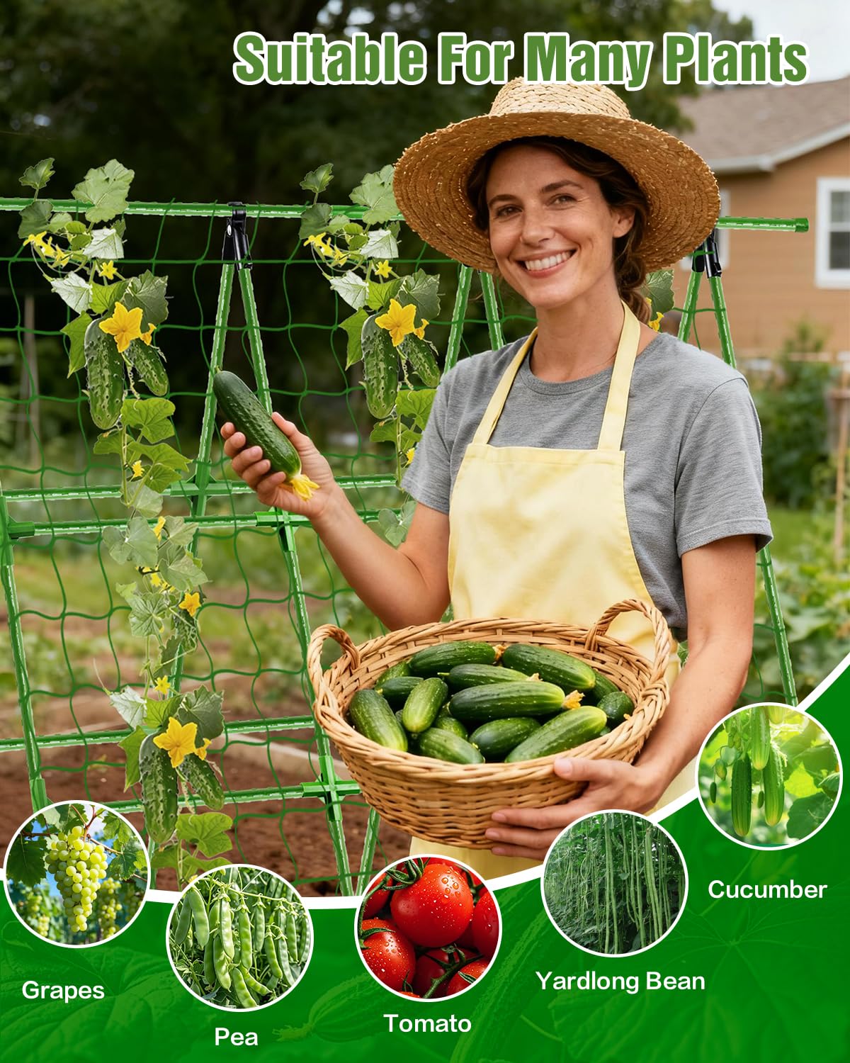 Joyhalo A-Frame with twist ties secures vines neatly