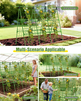 Joyhalo A-Frame setup saves ground space for other crops