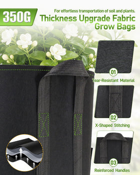 Joyhalo compact grow bag ready for indoor or outdoor use in small spaces