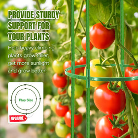 Joyhalo heavy-duty tomato trellis 65in provides stable support for thriving vines.