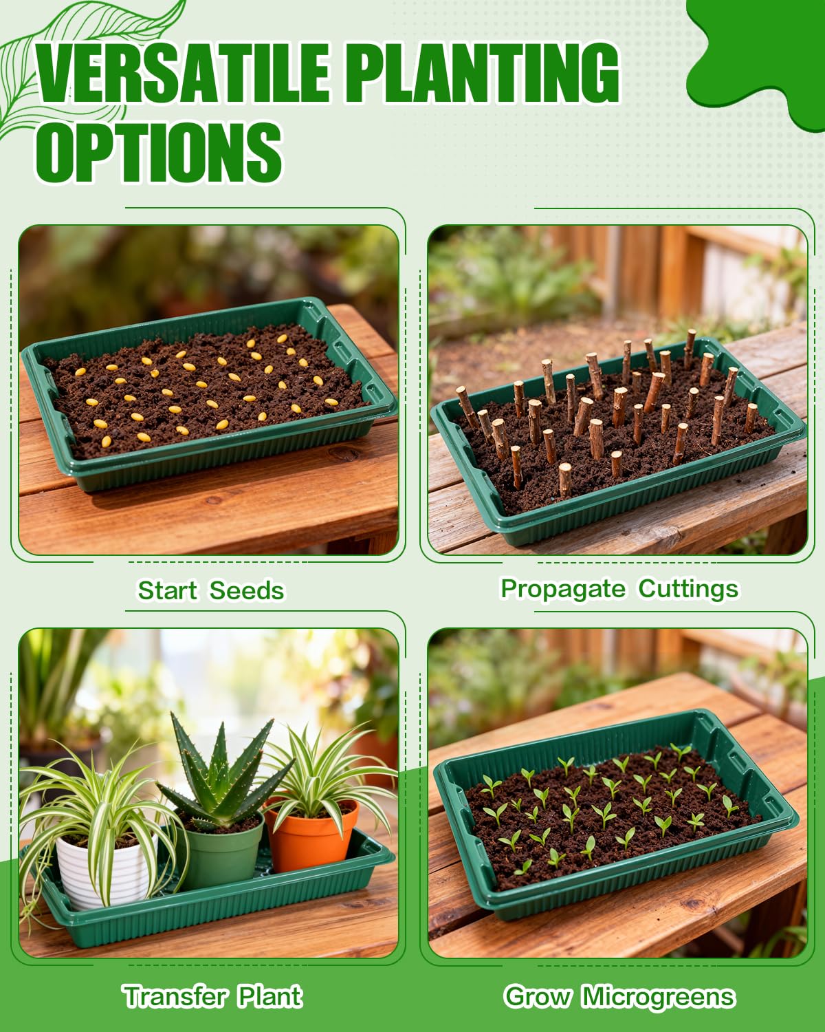 Joyhalo reusable trays offer practical, long-term gardening value.