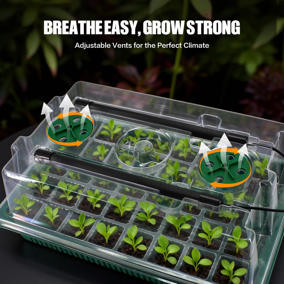 JoyHalo seed starter tray 80 cells offers generous space for diverse seeds and easier germination.