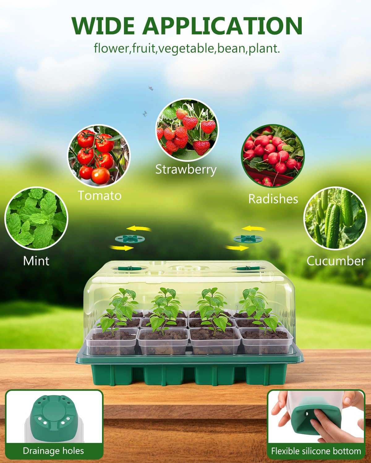 Joyhalo silicone-based base on pots enables easy removal and transplanting