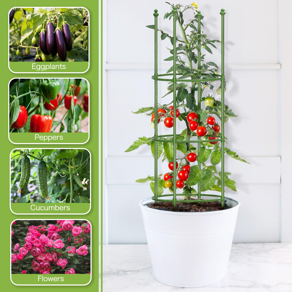 Joyhalo tomato cage bean trellis enhances garden organization and airflow.