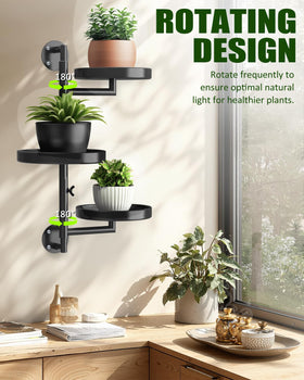 JoyHalo window plants shelf side angle: easy sunlight access for herbs.