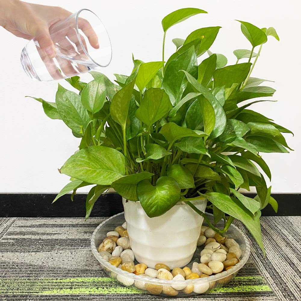 JOYSEUS plant saucer 13 inch decorative-projects option complements plants
