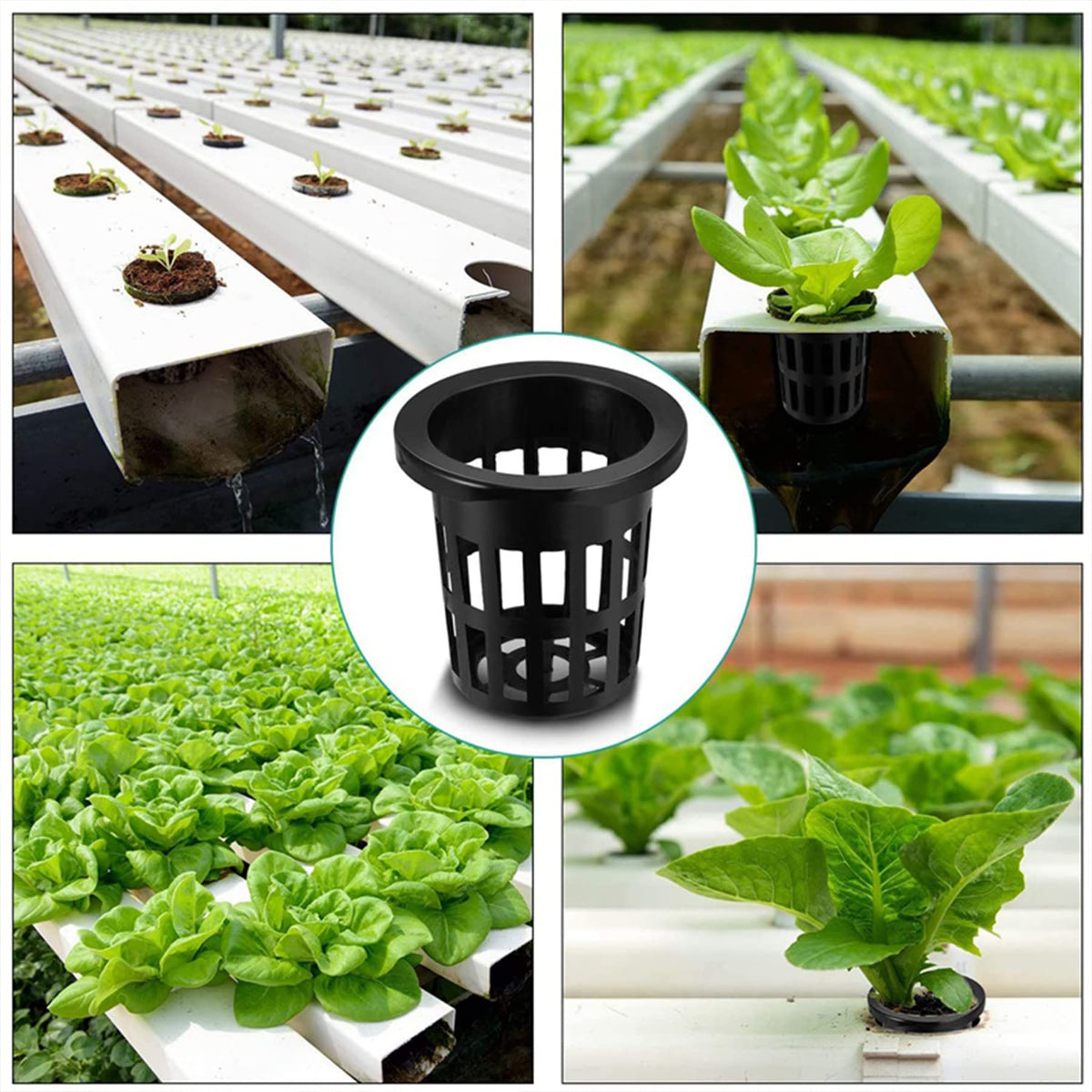 JpGdn versatile net cups work with hydroponics, soil, lava rocks, and pebbles.