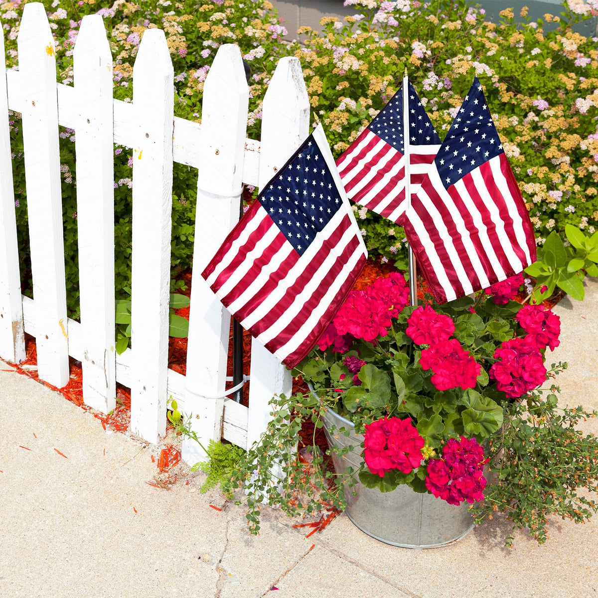 JRED vibrant red, white, and blue patterns for versatile patriotism