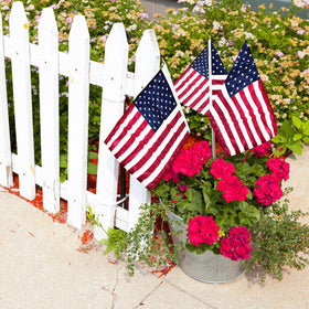 JRED vibrant red, white, and blue patterns for versatile patriotism