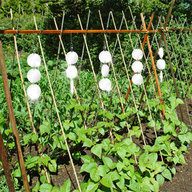 Jremreo 10-pack coverage for larger gardens and patios