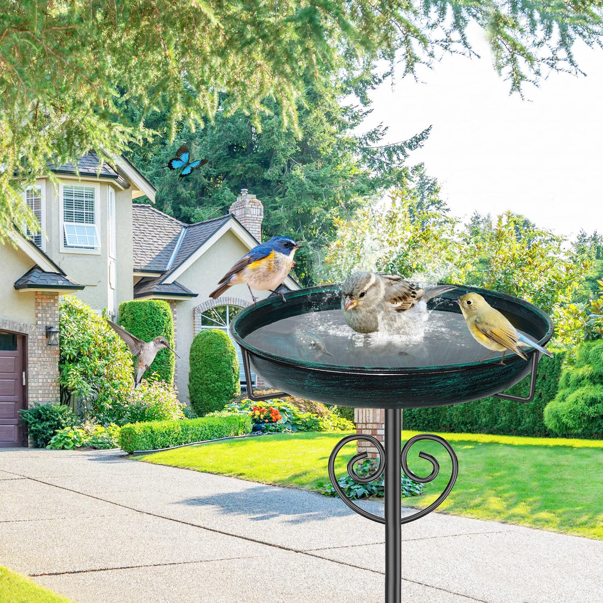 JSYONII bird watching feature attracts songbirds to drink and bathe