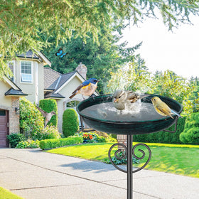 JSYONII bird watching feature attracts songbirds to drink and bathe
