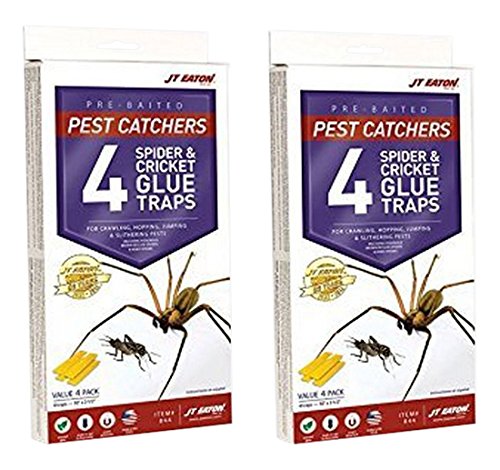 JT Eaton 844 Pest Catchers glue trap for crickets and spiders — easy, poison-free pest control at home
