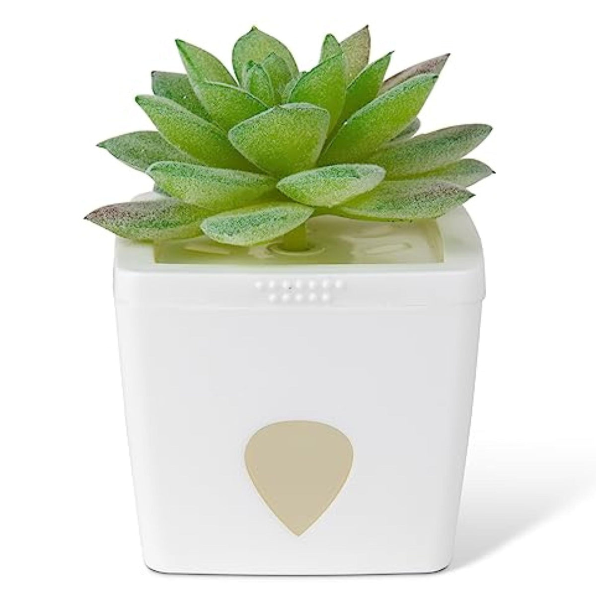 JT Eaton Tranquil Tabitha trap is kitchen-friendly and discreet.