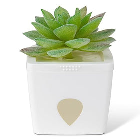 JT Eaton Tranquil Tabitha trap is kitchen-friendly and discreet.