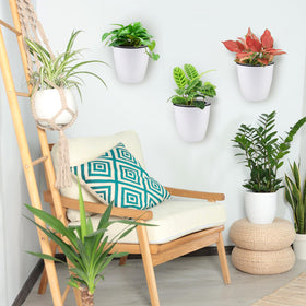 Jucoan 9-pack contents including pots, wicks, and hooks for hanging