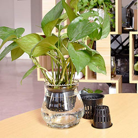 Jucoan 4-inch pot promotes airflow and drainage for roots.