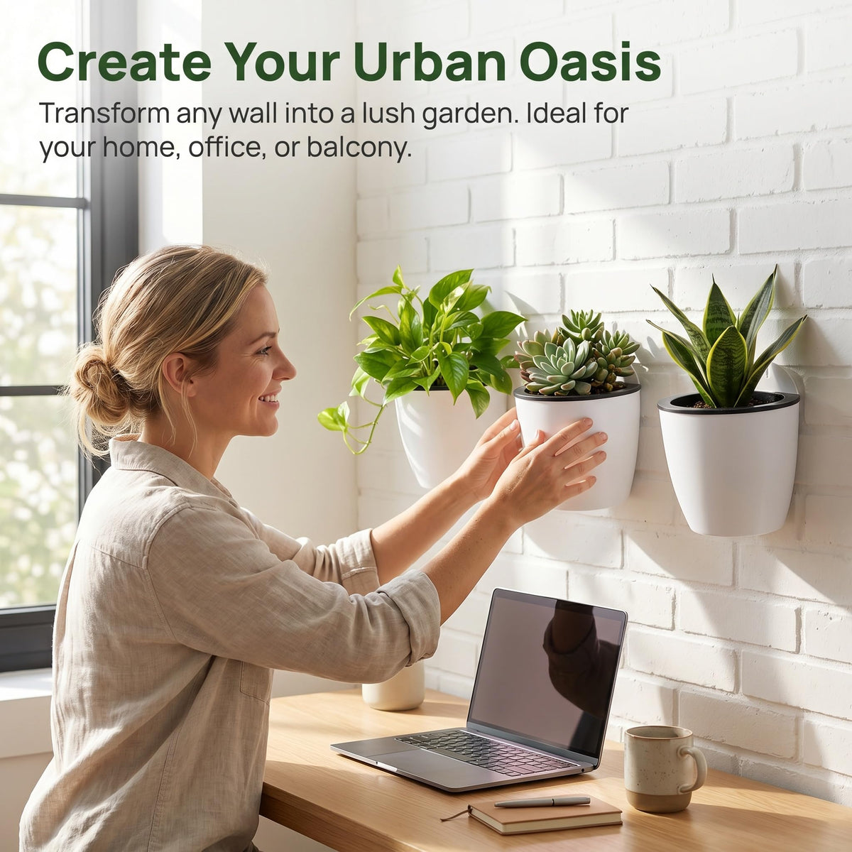 Jucoan planter suitable for succulents and spider plants in small spaces