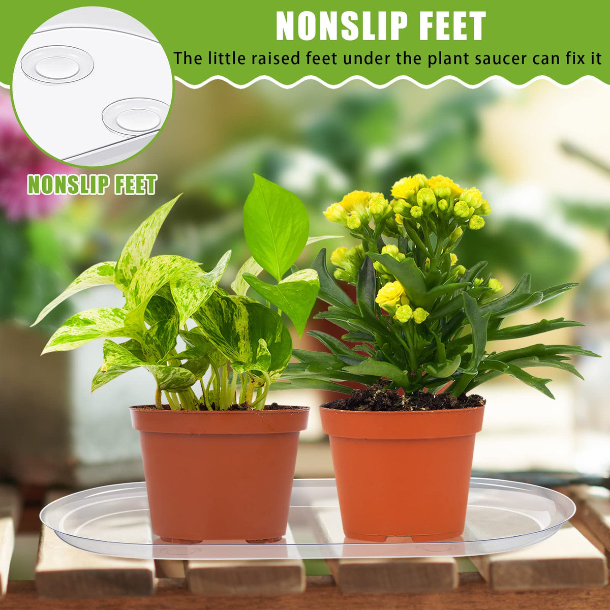 Juexica pots up to 3-5in diameter tray keeps plants stable and tidy
