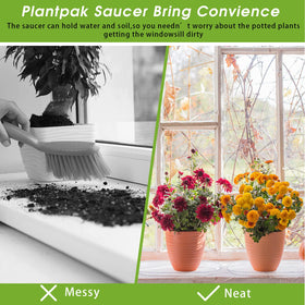Juexica succulent-tray fits small pots and keeps display neat